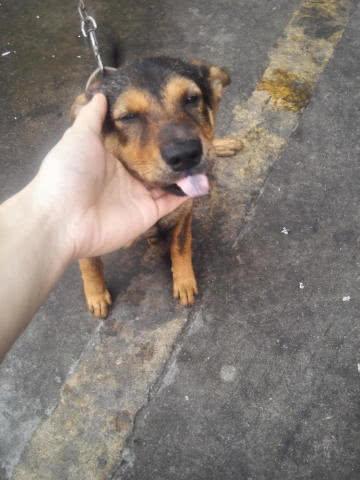 20221124181232_40081