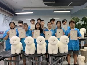 宠物狗学校学费_宠物狗学校培训价格表-警犬训练器材厂家 _警犬训练用品_工作犬训练用品-南京开久警犬装备