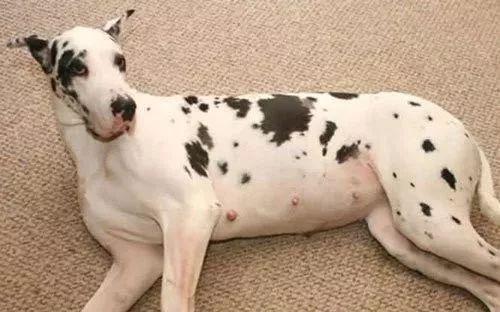 20221124222804_28749