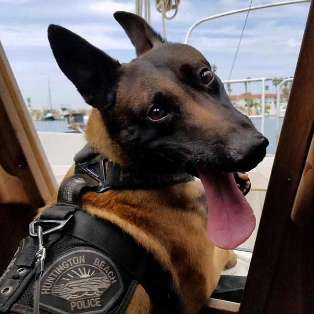 20221125091147_27814