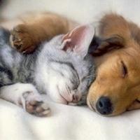 20221125120317_51671