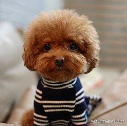 20221125122044_70597