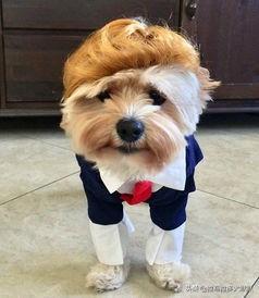 20221125122044_78220