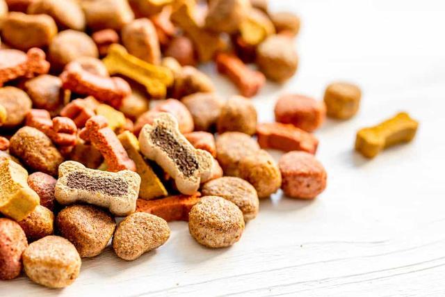 20221125124348_39147