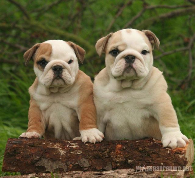 20221125135031_45979