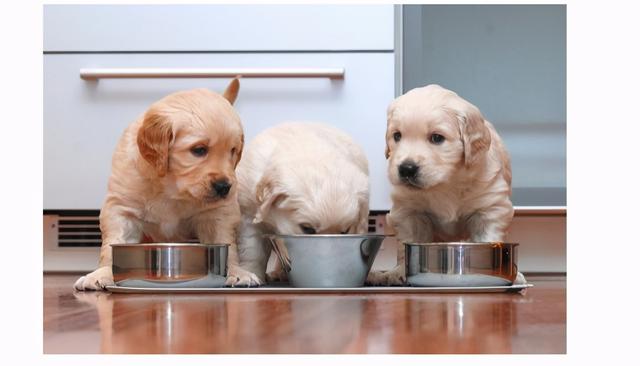 20221125140539_51567