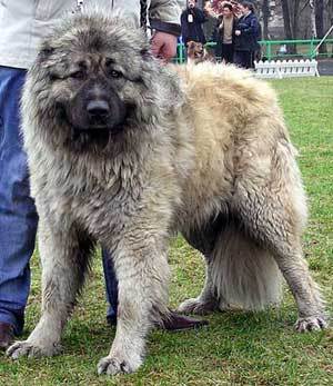 20221125143651_68911