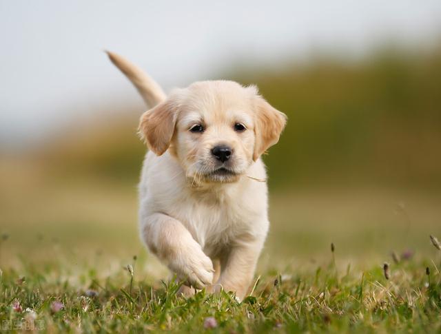 20221125164719_52450