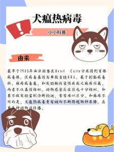 犬瘟热病毒通过什么传播(犬瘟热病毒什么症状)-警犬训练器材厂家 _警犬训练用品_工作犬训练用品-南京开久警犬装备