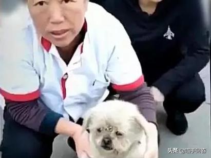 狗失而复得的预兆(梦见东西失而复得的预兆) - 警犬训练器材厂家 _警犬训练用品_工作犬训练用品-南京开久警犬装备-警犬训练器材厂家 _警犬训练用品_工作犬训练用品-南京开久警犬装备