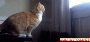 20221125171936_22219