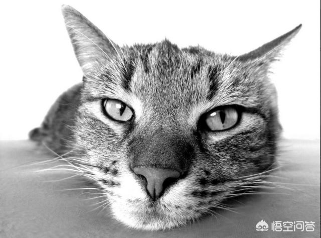 20221125171936_38529