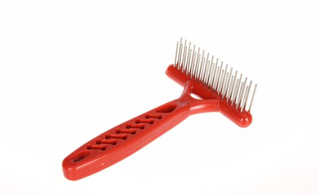 20221125195134_12239 20221125195134_12239