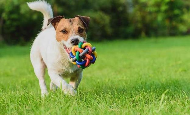 20221125200557_43777