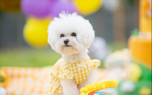 20221125200557_66173