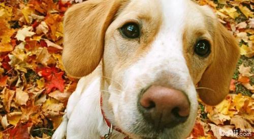 20221201123437_35447 20221201123437_35447