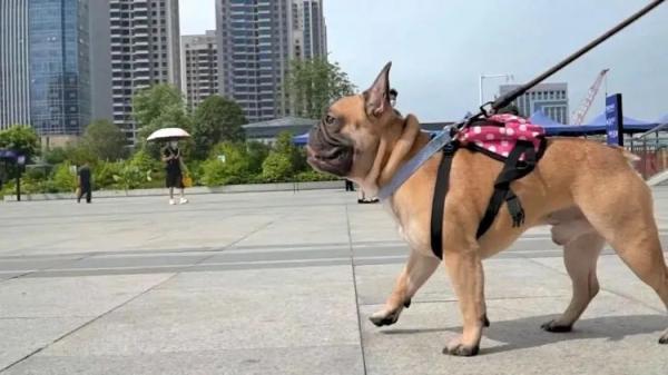 20221201125929_36256 20221201125929_36256