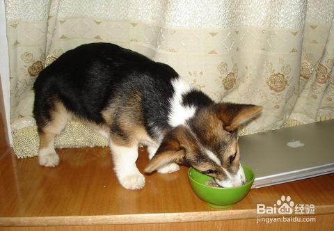 20221201142518_67163 20221201142518_67163