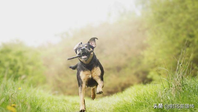 20221201143848_29873