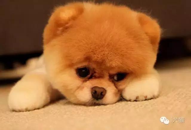 20221201145050_69585 20221201145050_69585