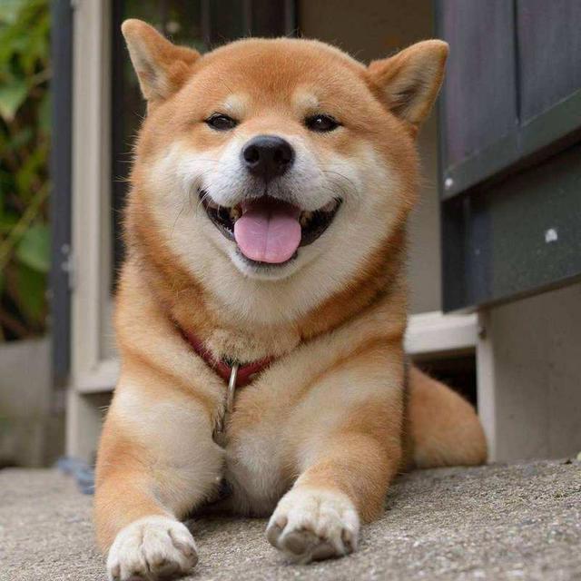 20221201160616_58107 20221201160616_58107