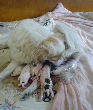 20221204220623_29742 20221204220623_29742