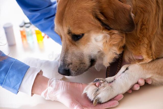 20221204230023_11375 20221204230023_11375