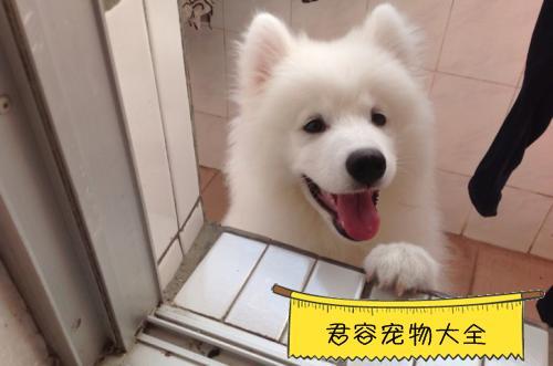 20221205110005_34773 20221205110005_34773