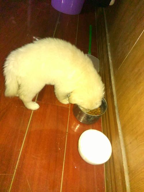 20221205110005_77456 20221205110005_77456