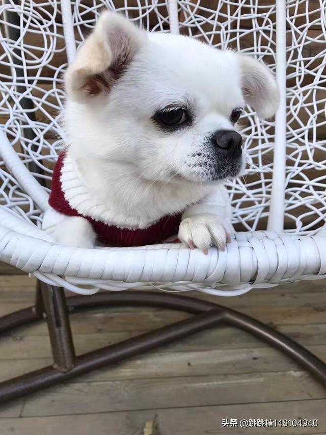 20221205110241_19009 20221205110241_19009