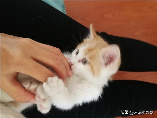 20221205110241_65812 20221205110241_65812