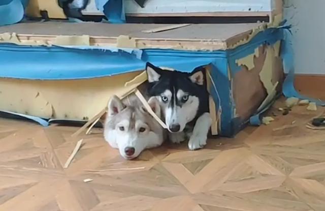 20221108130028_34730