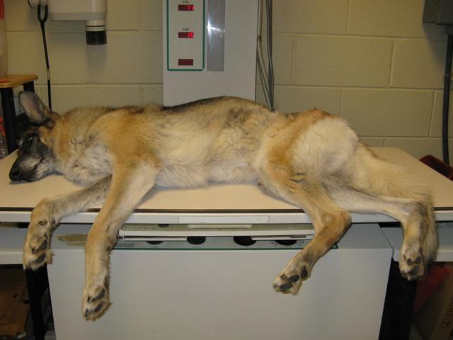 20221114144624_45535