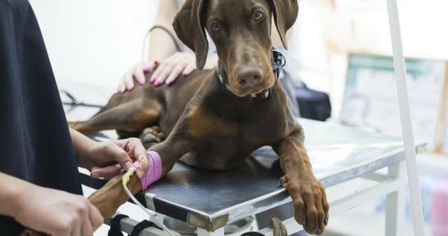 20221114144624_79700