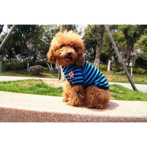 上海狗狗宠物用品批发市场-警犬训练器材厂家 _警犬训练用品_工作犬训练用品-南京开久警犬装备