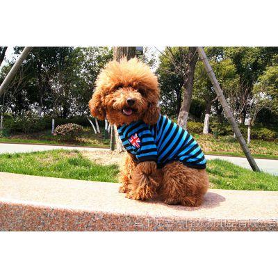 上海狗狗宠物用品批发市场 - 警犬训练器材厂家 _警犬训练用品_工作犬训练用品-南京开久警犬装备-警犬训练器材厂家 _警犬训练用品_工作犬训练用品-南京开久警犬装备