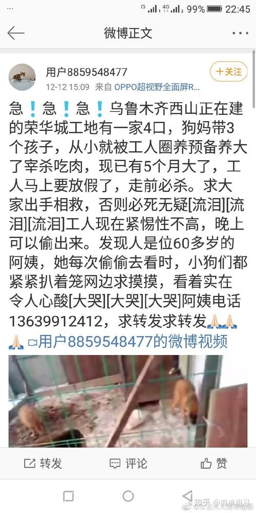 爱狗人士大宝妈道歉，爱狗人士大宝妈是谁 - 警犬训练器材厂家 _警犬训练用品_工作犬训练用品-南京开久警犬装备-警犬训练器材厂家 _警犬训练用品_工作犬训练用品-南京开久警犬装备