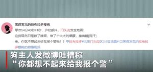 地震后的狗狗(地震来临前狗狗有什么现象)-警犬训练器材厂家 _警犬训练用品_工作犬训练用品-南京开久警犬装备