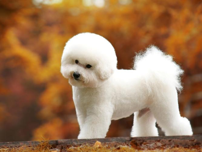 20221124154316_19259 20221124154316_19259