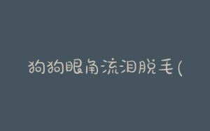 狗狗眼角流泪脱毛(狗狗眼角脱毛是什么原因)-警犬训练器材厂家 _警犬训练用品_工作犬训练用品-南京开久警犬装备