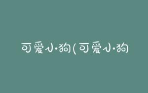 可爱小狗(可爱小狗 *** 大全超萌)-警犬训练器材厂家 _警犬训练用品_工作犬训练用品-南京开久警犬装备