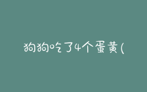 狗狗吃了4个蛋黄(狗狗一周可以吃几个蛋黄)-警犬训练器材厂家 _警犬训练用品_工作犬训练用品-南京开久警犬装备