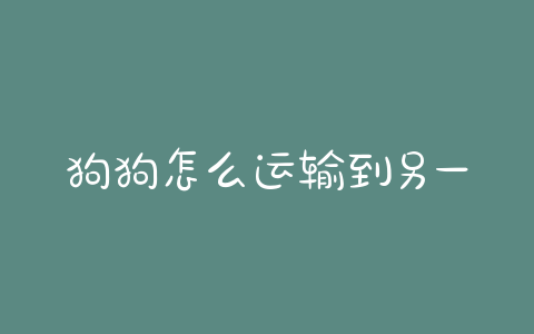 狗狗怎么运输到另一个城市(狗怎么寄到外省) - 警犬训练器材厂家 _警犬训练用品_工作犬训练用品-南京开久警犬装备-警犬训练器材厂家 _警犬训练用品_工作犬训练用品-南京开久警犬装备
