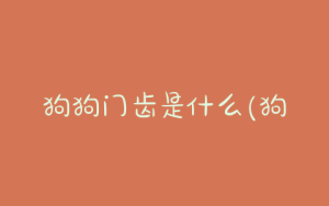 狗狗门齿是什么(狗狗门齿尖峰磨灭是什么样)-警犬训练器材厂家 _警犬训练用品_工作犬训练用品-南京开久警犬装备