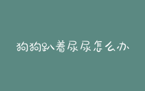 狗狗趴着尿尿怎么办-警犬训练器材厂家 _警犬训练用品_工作犬训练用品-南京开久警犬装备
