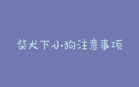 柴犬下小狗注意事项(柴犬怀孕注意事项) - 警犬训练器材厂家 _警犬训练用品_工作犬训练用品-南京开久警犬装备-警犬训练器材厂家 _警犬训练用品_工作犬训练用品-南京开久警犬装备