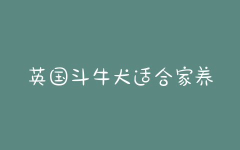 英国斗牛犬适合家养吗(斗牛犬适合家养吗?) - 警犬训练器材厂家 _警犬训练用品_工作犬训练用品-南京开久警犬装备-警犬训练器材厂家 _警犬训练用品_工作犬训练用品-南京开久警犬装备