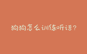 狗狗怎么训练听话？怎么训练狗狗听话乖巧-警犬训练器材厂家 _警犬训练用品_工作犬训练用品-南京开久警犬装备