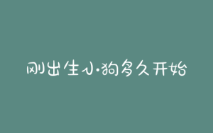 刚出生小狗多久开始训练拉粑粑-警犬训练器材厂家 _警犬训练用品_工作犬训练用品-南京开久警犬装备
