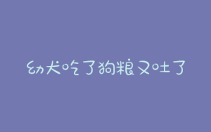幼犬吃了狗粮又吐了(拉布拉多幼犬吃了狗粮吐了)-警犬训练器材厂家 _警犬训练用品_工作犬训练用品-南京开久警犬装备